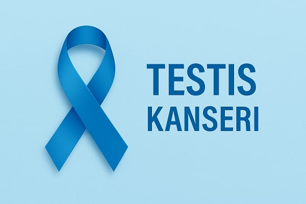 Testis Kanseri Nedir? Belirtileri ve Tedavi Yöntemleri