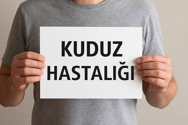 Kuduz Hastalığı Nedir? Belirtileri ve Tedavi Yöntemleri